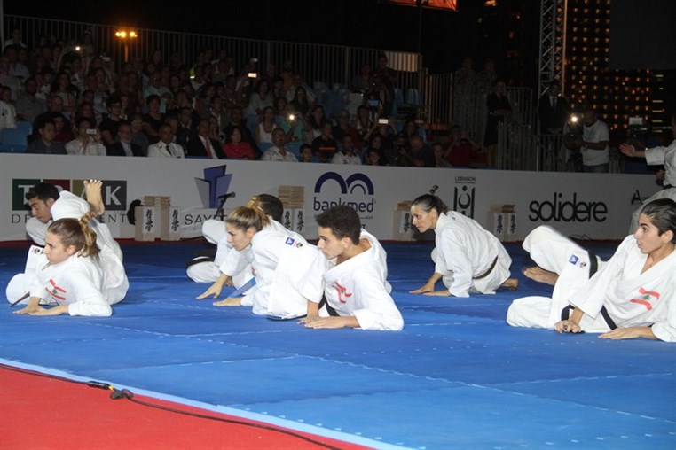 Martial Arts Festival